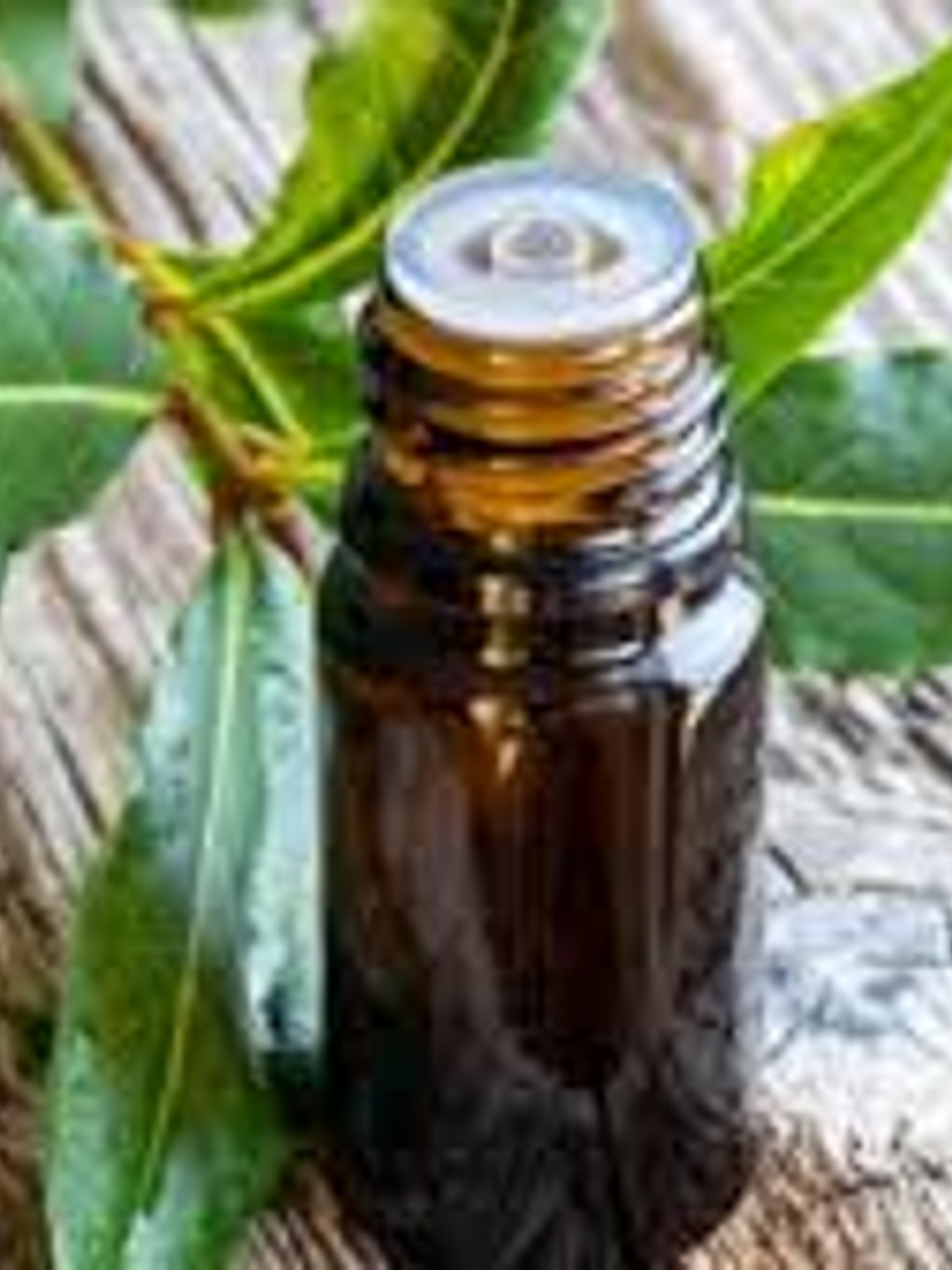 A. Esencial Laurel 1