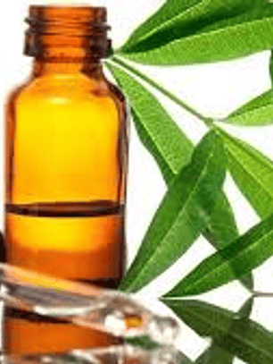 A. Esencial Verbena Limón