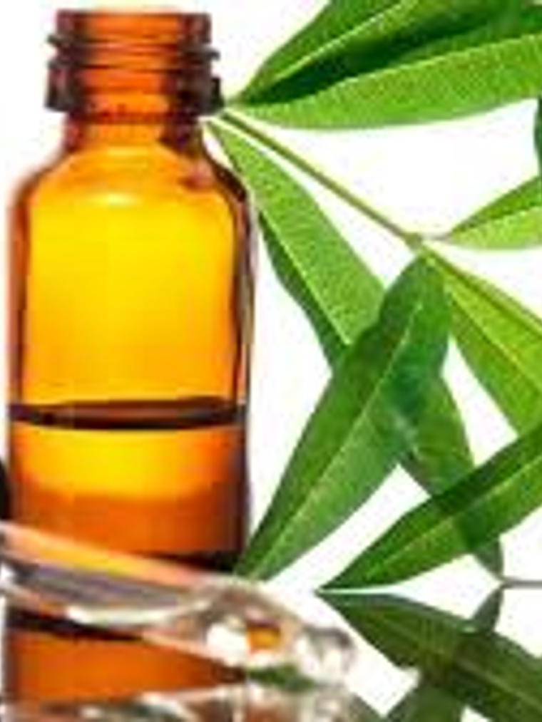 A. Esencial Verbena Limón 1