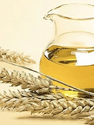 Extracto de Germen de Trigo