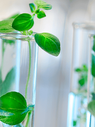 Procide pf 130 o preservativ spf 130