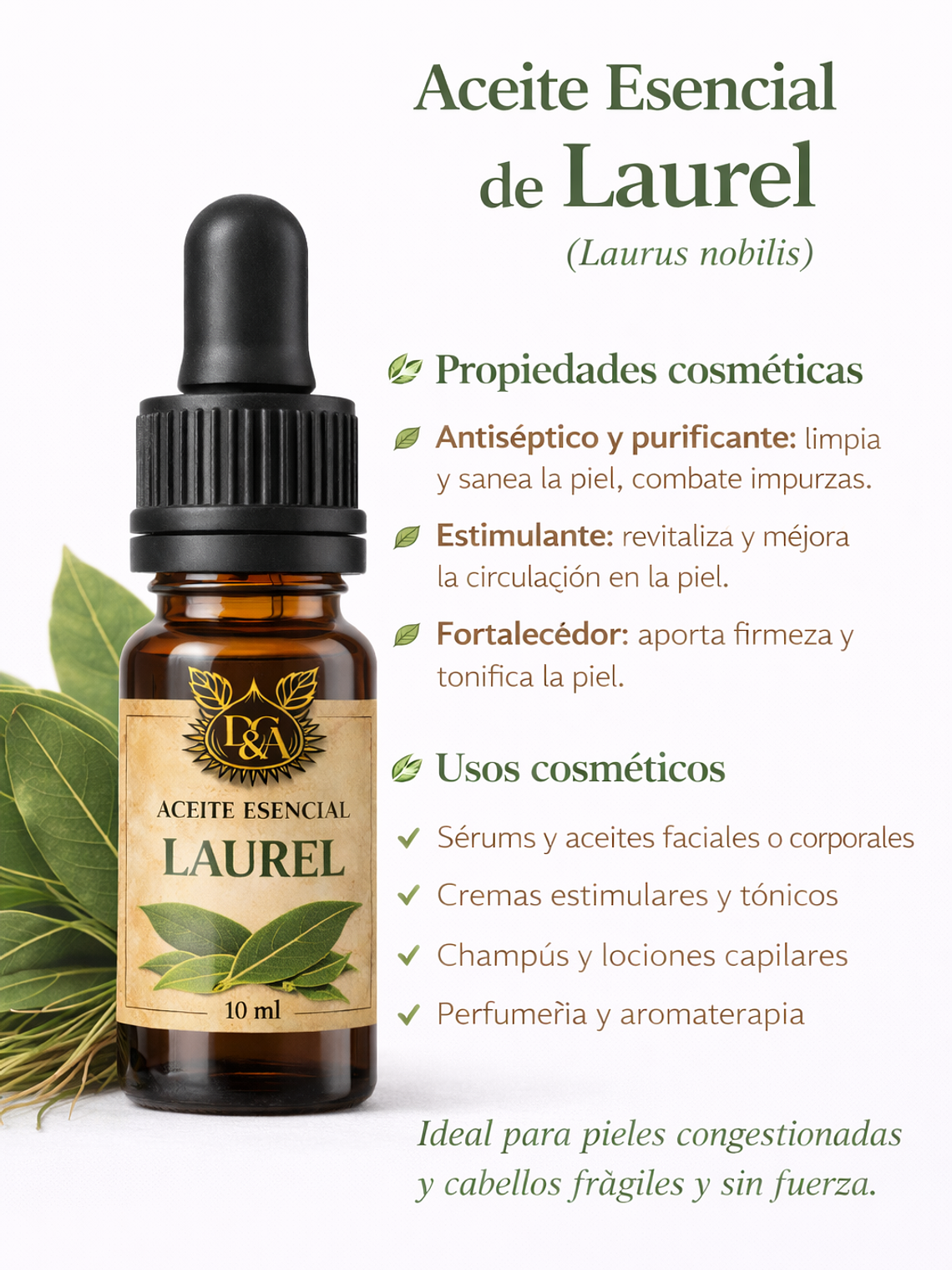 Aceite esencial de Laurel 1