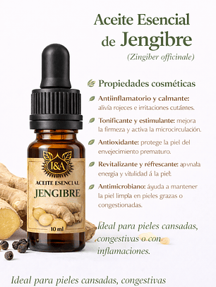Aceite esencial Jengibre