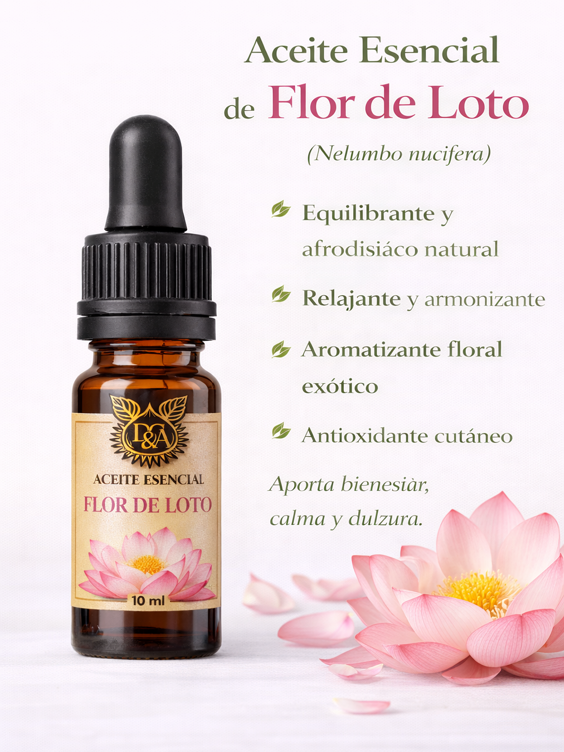 Aceite esencial de Flor de Loto rosado 1