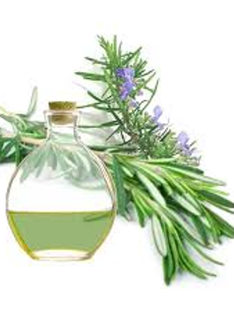 Extracto de Romero 1