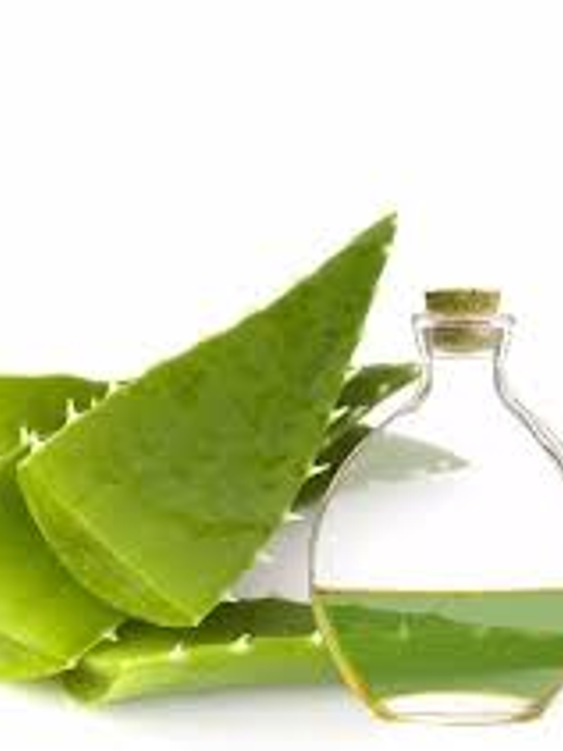 Extracto de Aloe Vera 1