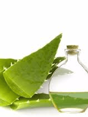 Extracto de Aloe Vera