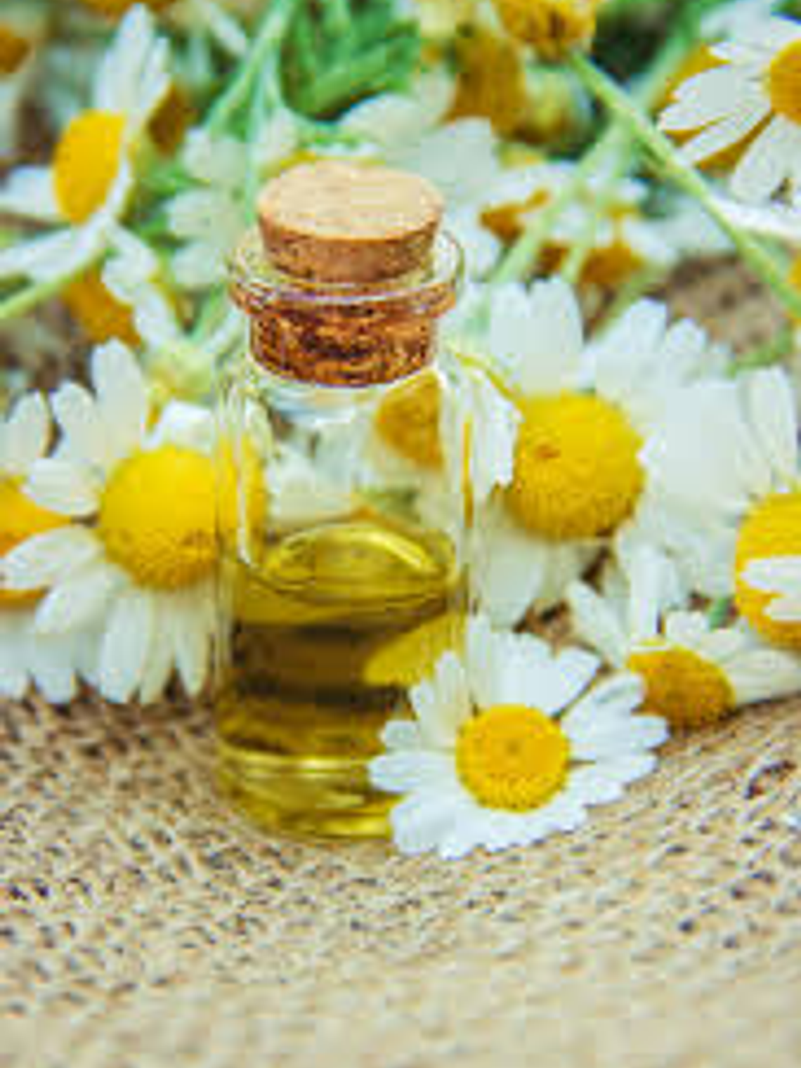 Extracto de Manzanilla 1