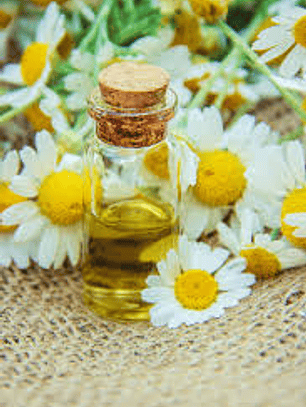 Extracto de Manzanilla