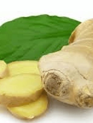 Extracto de Jengibre