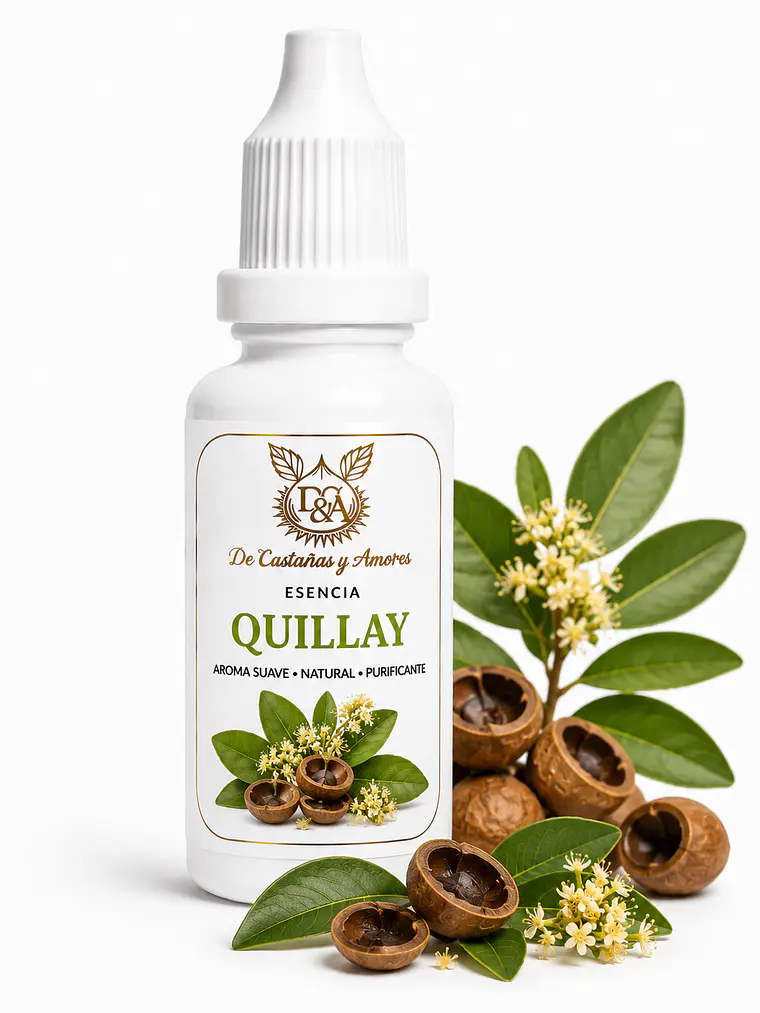 Aroma o esencia de Quillay 1