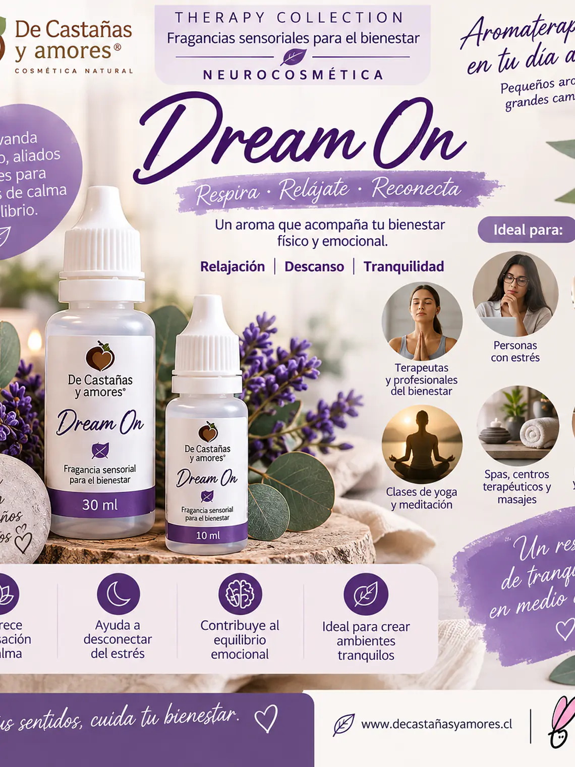 Dream on  1