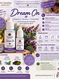 Dream on  - Miniatura 2