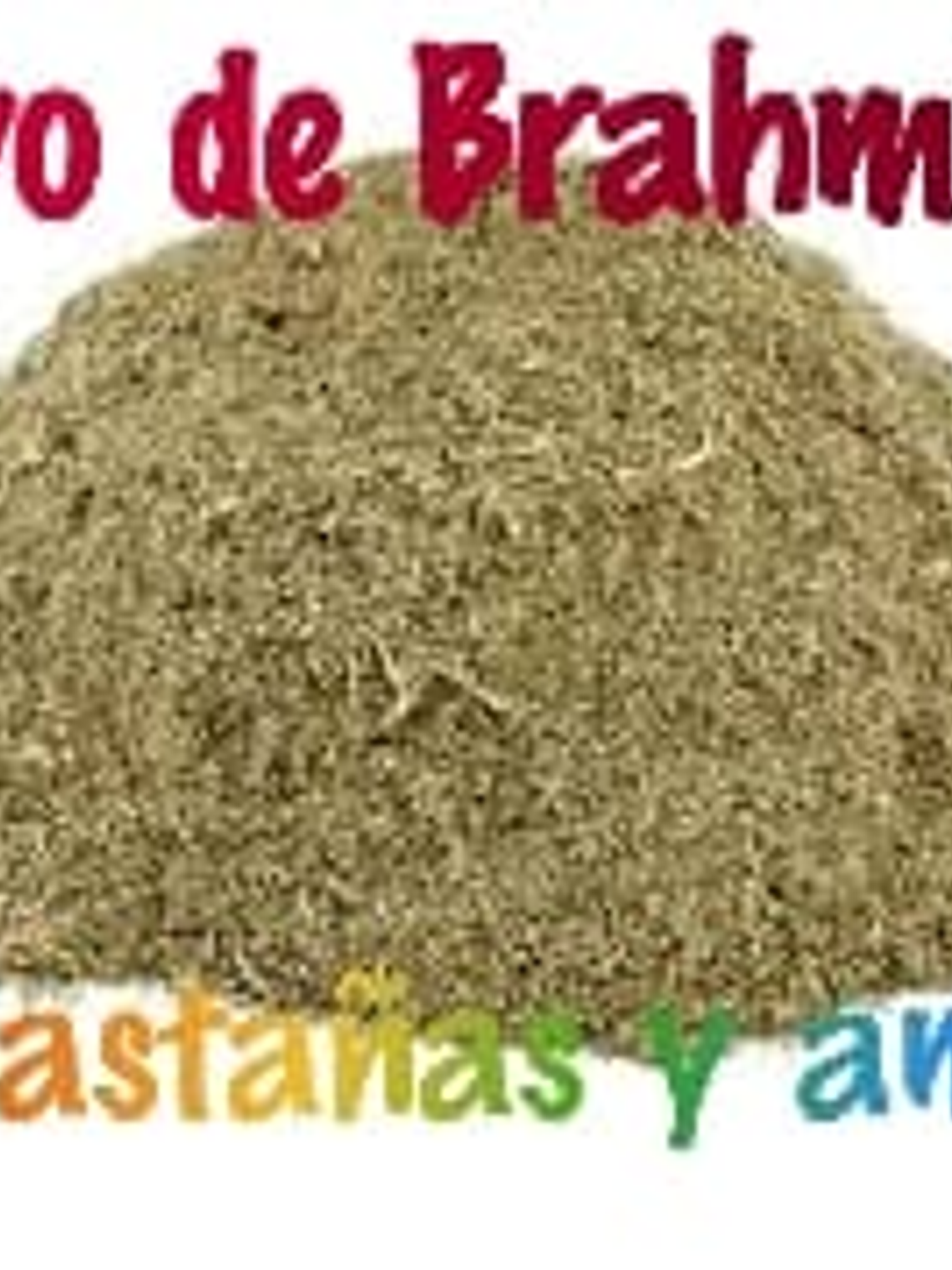 Polvo de Brahmi Bio 1