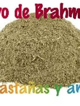 Polvo de Brahmi Bio