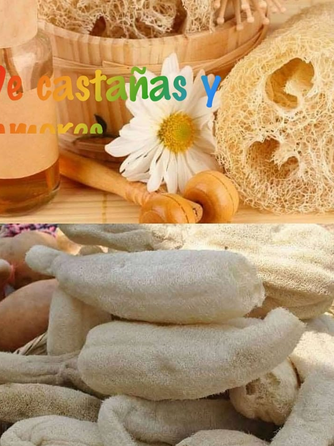 Lufa Extra Grande  1