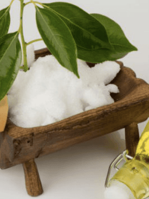 Extracto algas focus