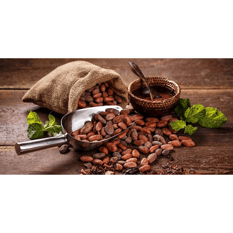 Extracto de cacao
