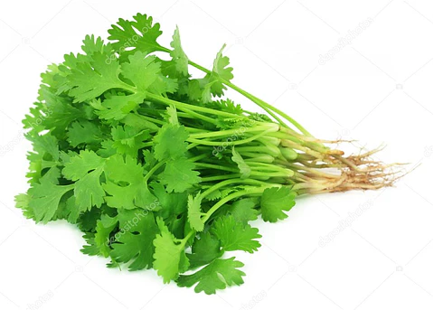 Cilantro (1 atado 100 gr aprox)