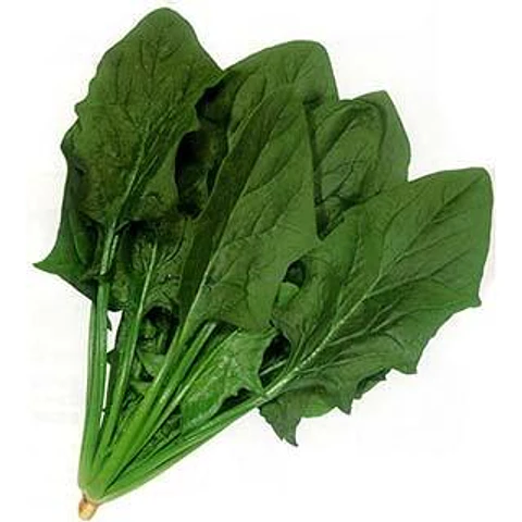 Espinaca (1 atado 500 gr aprox)