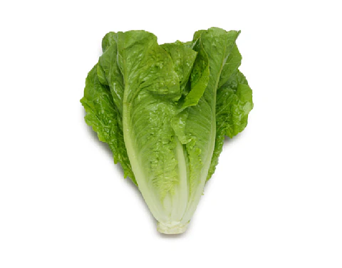 Lechuga Costina (1 unidad)