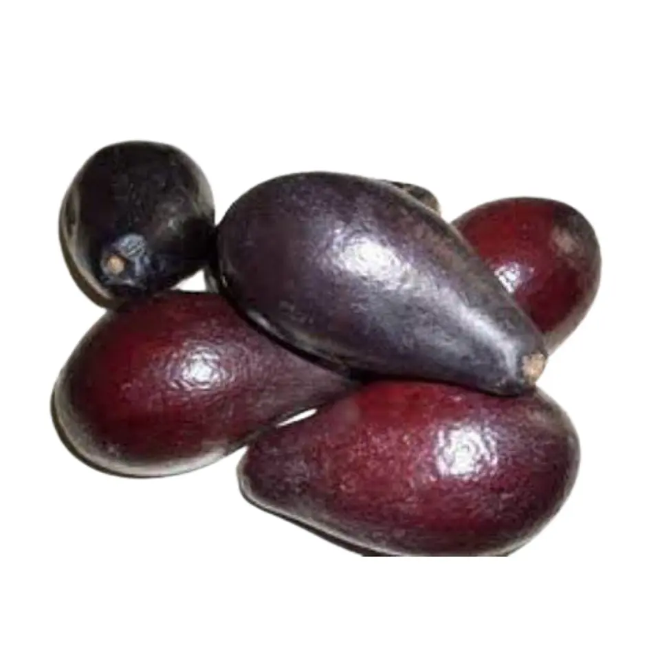 Palta Negra de La Cruz (1 kg) 1