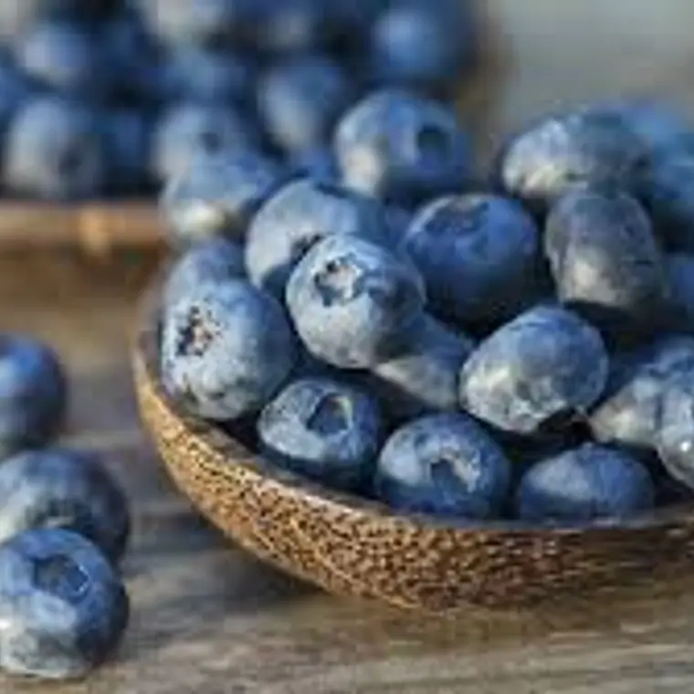 Arándanos (500 gr) 1