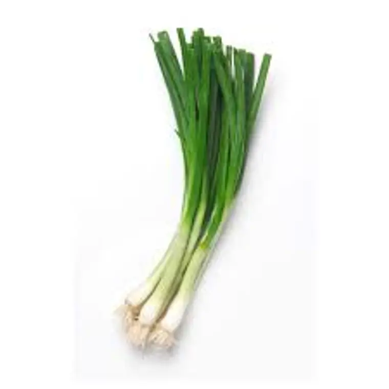 Cebollin (pqte 3 un) 1