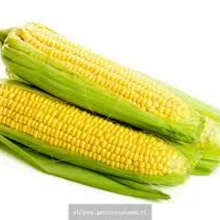 Choclo amaricano (un) 1