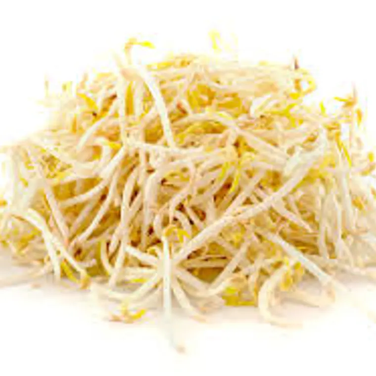 Dientes de dragon (250 gr) 1