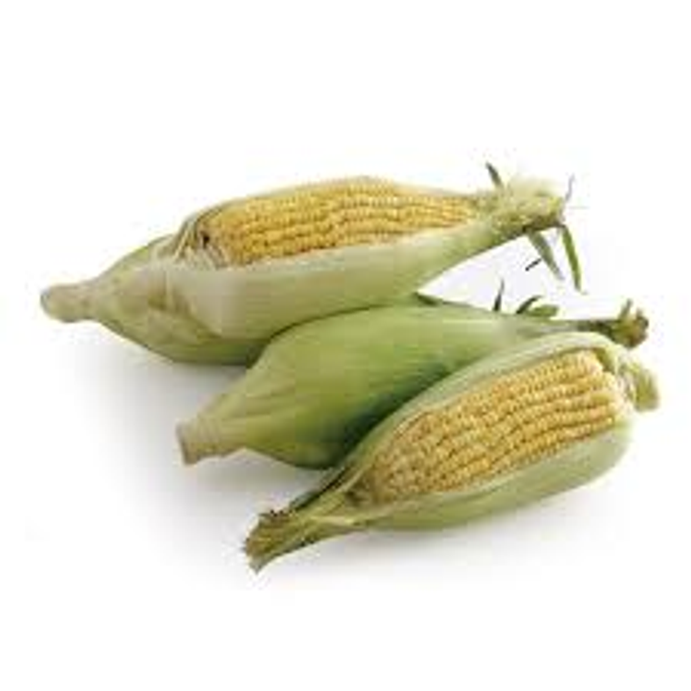 Choclo Pastelero (un) 1