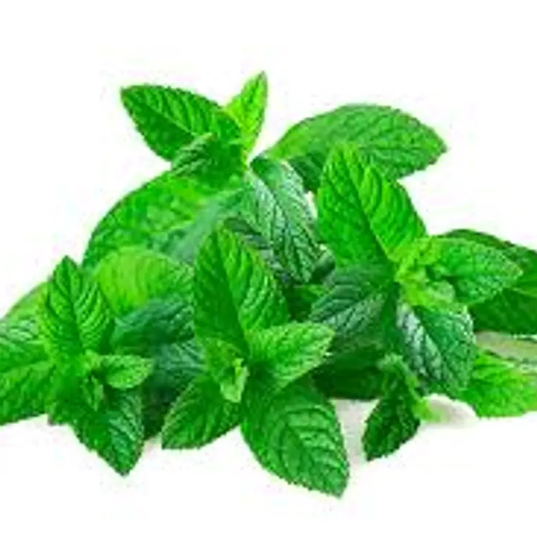 Hierba Buena (pqte) 1