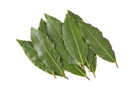 Laurel