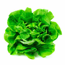 Lechuga Española (un)