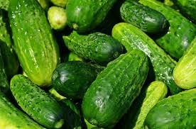 Pepinos Arabes (un)