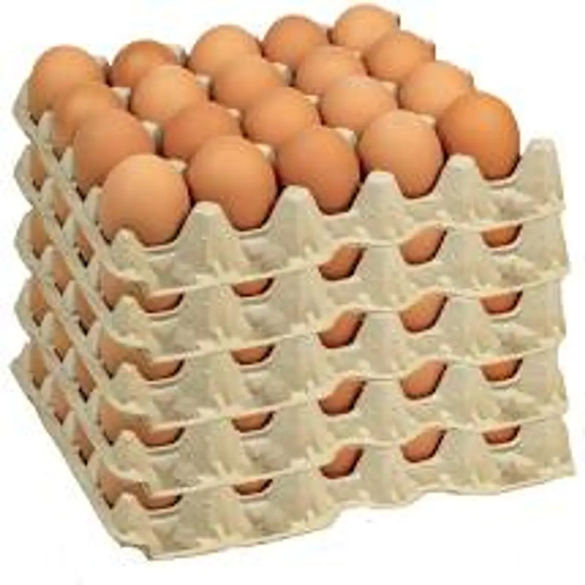 Huevos Super Color (20 un) 1