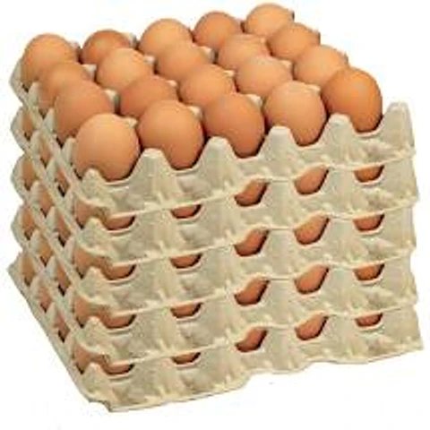 Huevos Super Color (20 un)