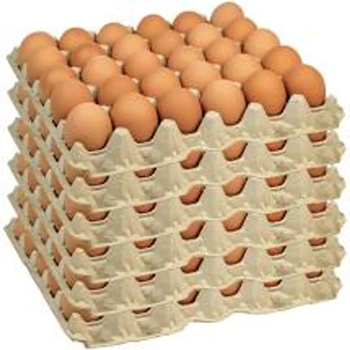 Huevos Super Color (30 un) 1