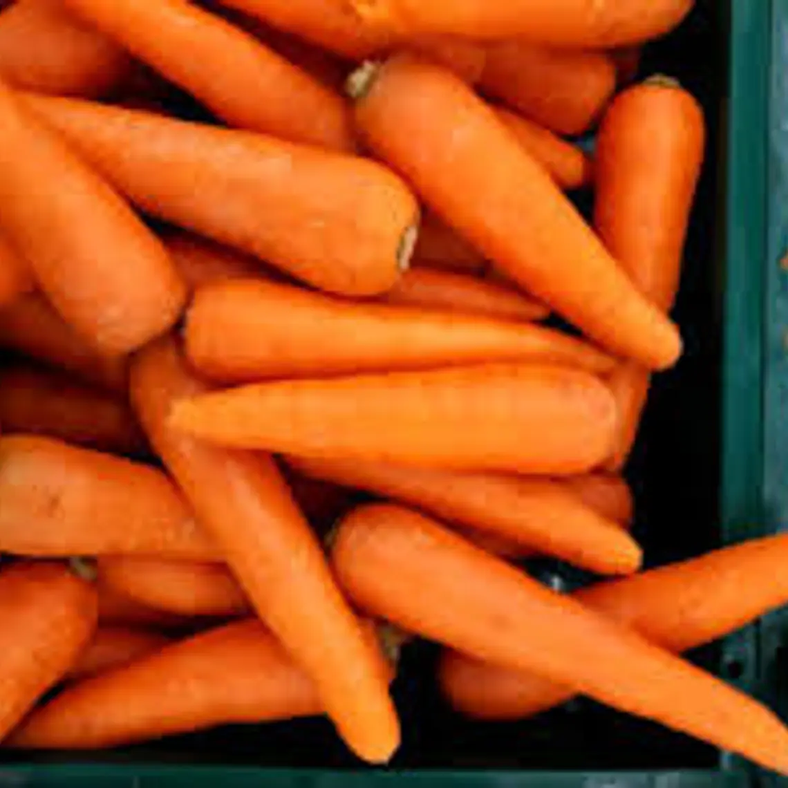 Zanahorias (kg) 1