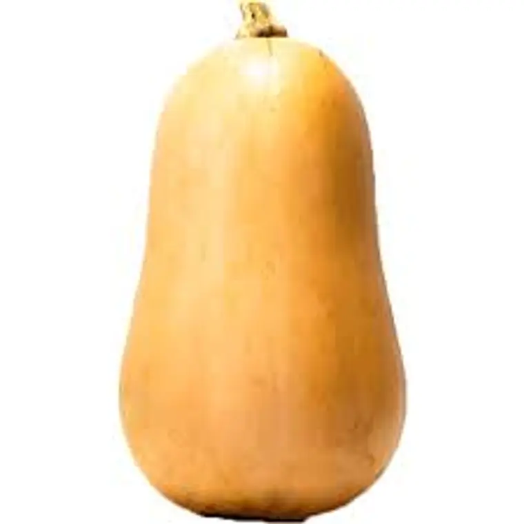 Zapallo Butternut (un) 1