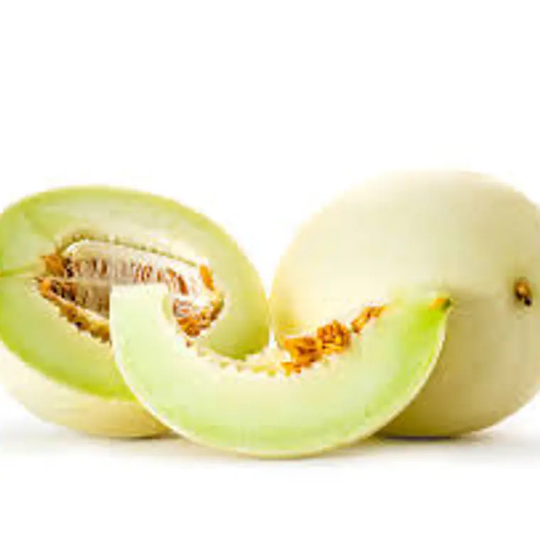 Melón Tuna (un) 1