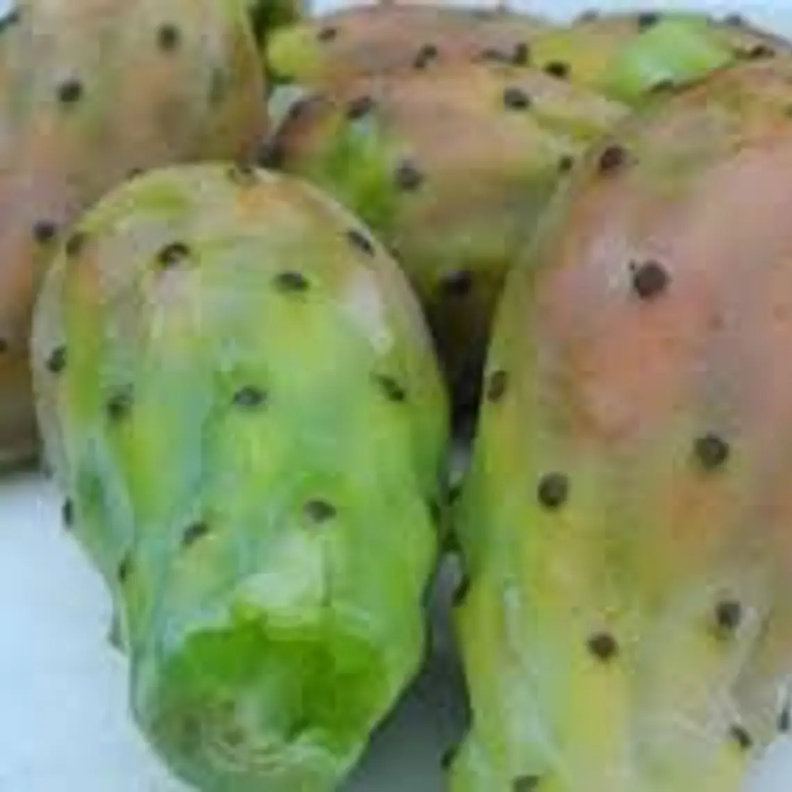 Tunas (kg) 1