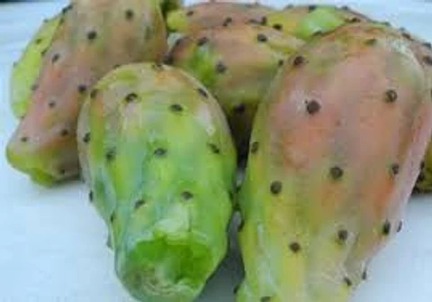 Tunas (kg)