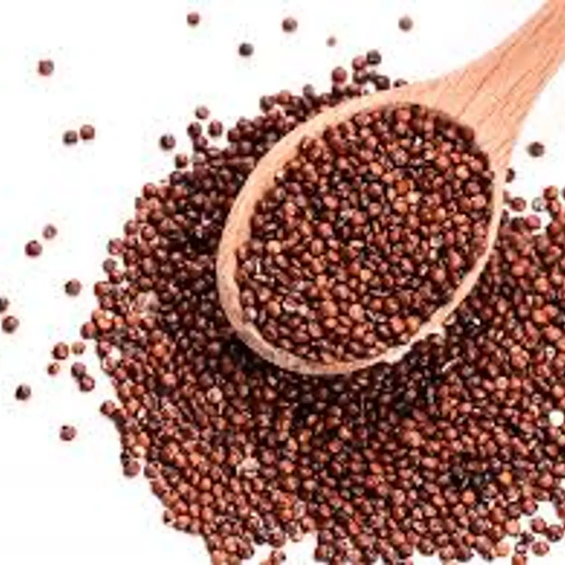 Quinoa Roja (500 gr) 1