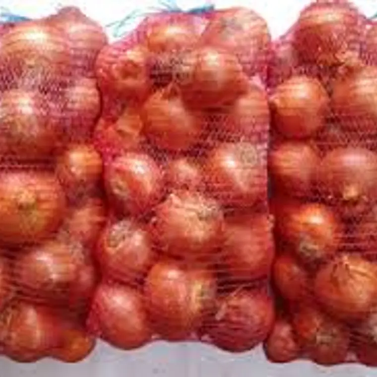 Saco Cebollas (15 kg) 1