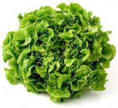 Lechuga Marina (un)
