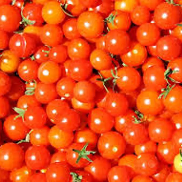 Tomate Cherry (1/2 kg) 1