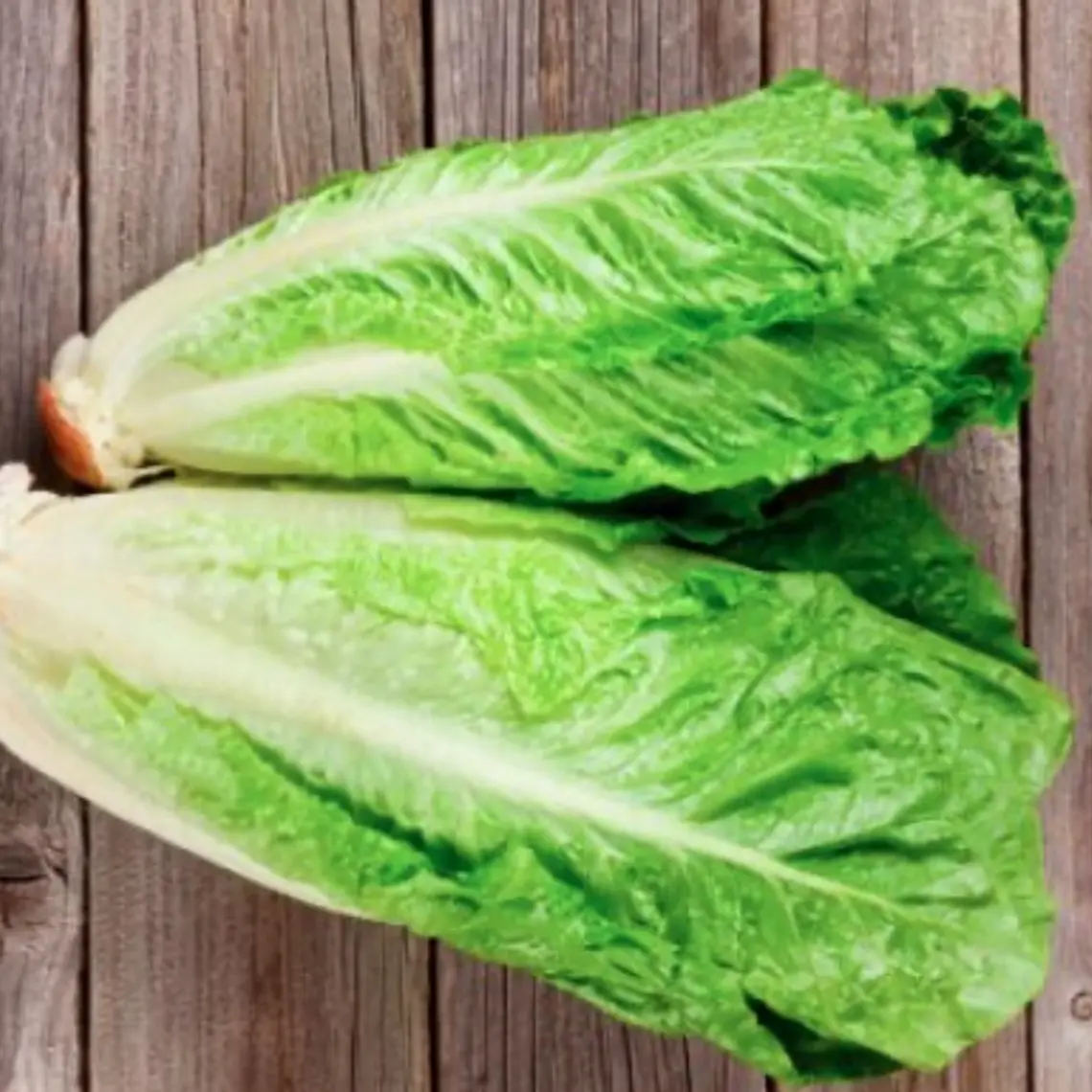 Lechuga Corazón de Costina (Pqte. 2 un) 1