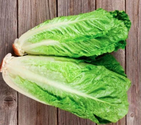 Lechuga Corazón de Costina (Pqte. 2 un)