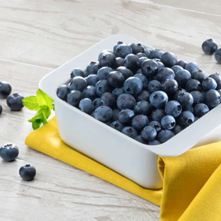 Arándanos congelados (kg) 1